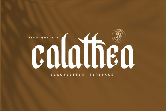 Calathea: A Strategic Approach to Elevating Design with Elegance